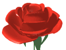 Shamol-01814777909